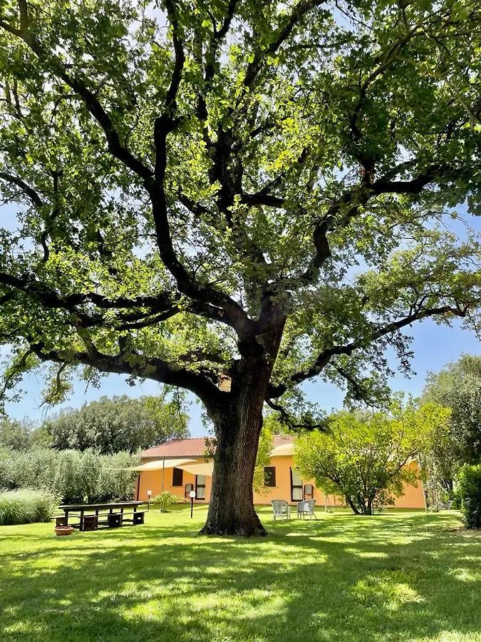 Vakantieboerderij Agriturismo I Tre Fossi Magliano in Toscana