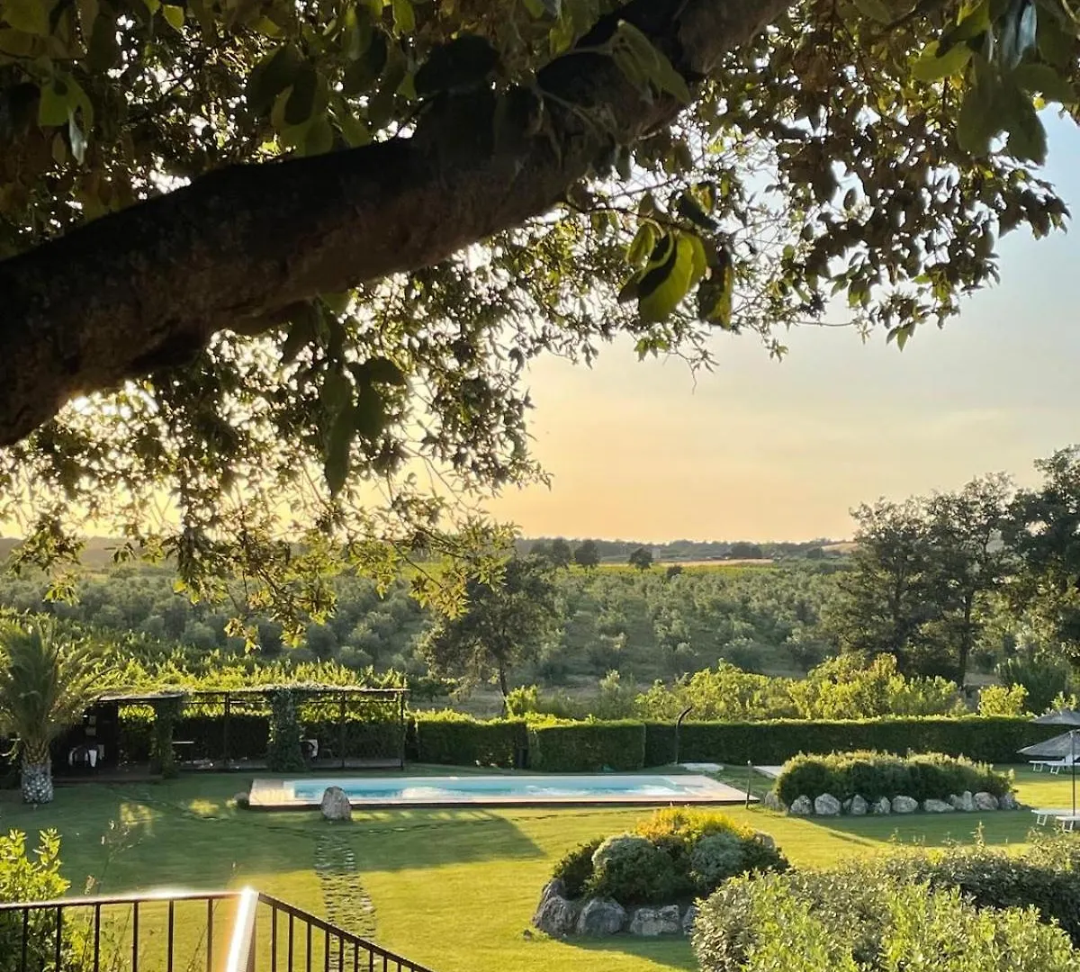 Agriturismo I Tre Fossi Magliano in Toscana Vakantieboerderij