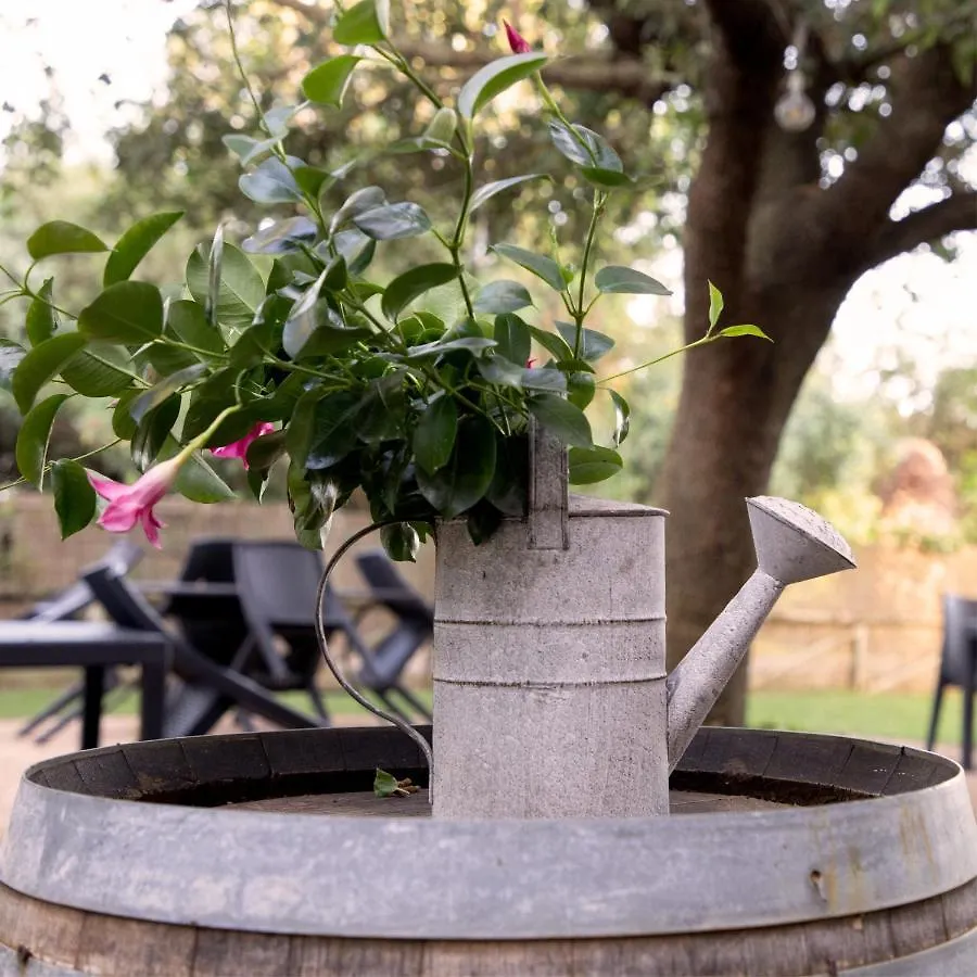 Agriturismo I Tre Fossi Magliano in Toscana Italië